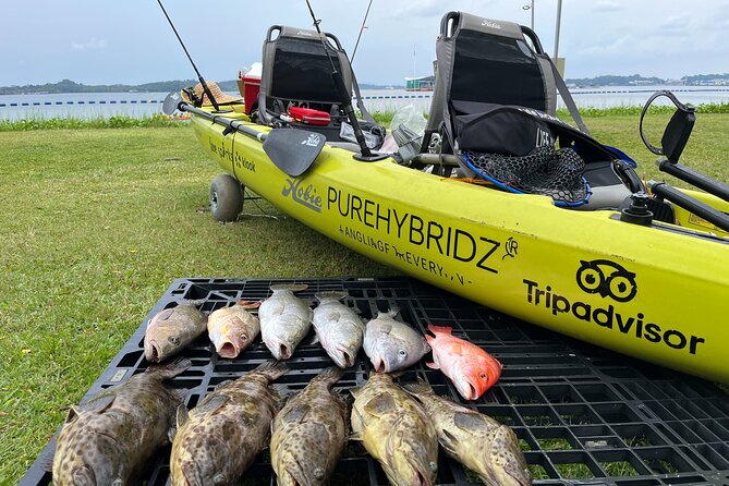 Full Day Kayak Fishing Rental - Key Points