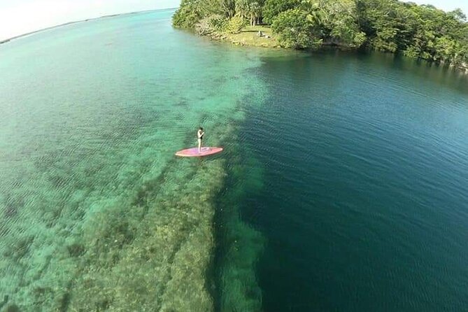 Full Day Kayak Rental in Bacalar - Guest Reviews