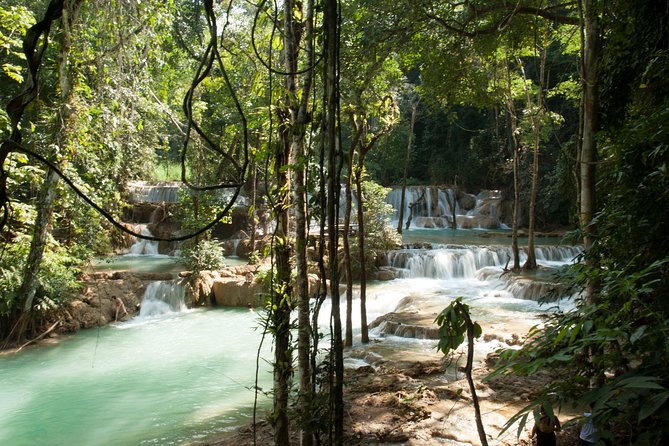 Full Day Kayak To Tad Sae Waterfall - Tour Reviews