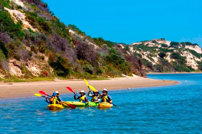 Full Day Kayaking Tour in Coorong National Park - Inclusions