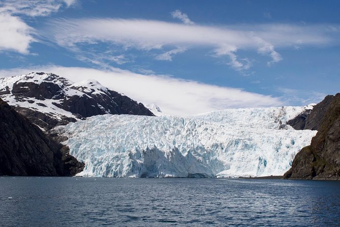 Full-Day Kenai Fjords National Park Cruise - Reviews: At a Glance