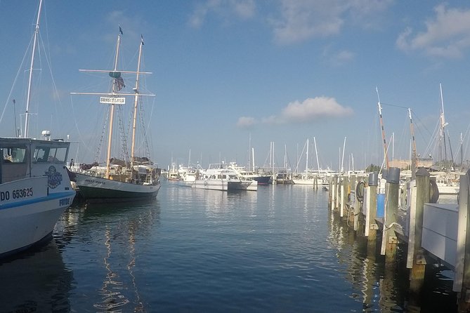 Full-Day Key West Tour and Coral Reef Snorkeling With Open Bar - Transportation Details