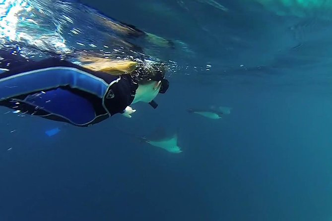 Full Day Kicker Rock - Recap