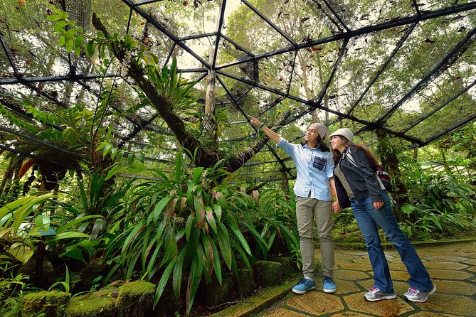 Full-Day Kinabalu Park and Poring Hot Spring Day Trip - Kinabalu Park Highlights