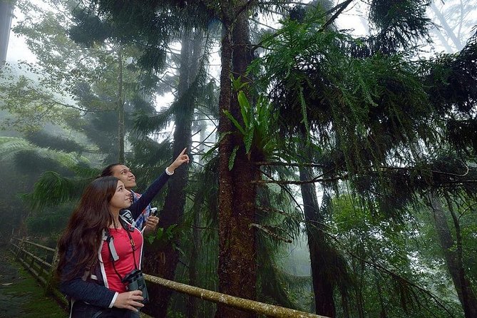 Full-Day Kinabalu Park and Poring Hot Spring Day Trip - Poring Hot Springs