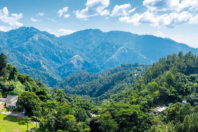 Full Day Kingston and Blue Mountains Group Tour - Meeting and Pickup