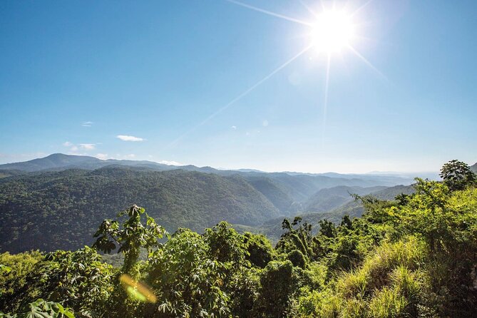 Full-Day Kingston and Blue Mountains Private Guided Tour - Additional Notes