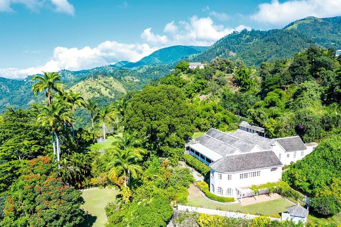 Full-Day Kingston and Blue Mountains Private Guided Tour - Exploring Kingston