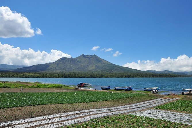 Full Day Kintamani Volcano Tour Volkswagen Safari - Booking Confirmation and Cancellation Policy