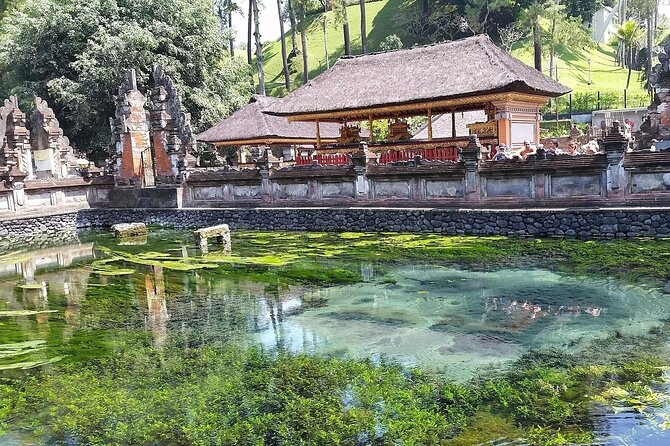 Full Day Kintamani Volcano View and Ubud Village Tour - Tirta Empul Temple