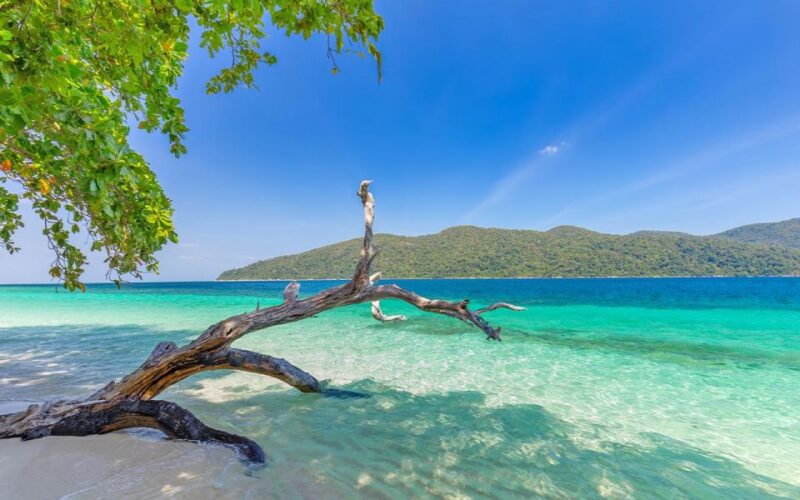 Full-Day Koh Lipe 5 Points Snorkeling Experience With Lunch - Itinerary and Activities