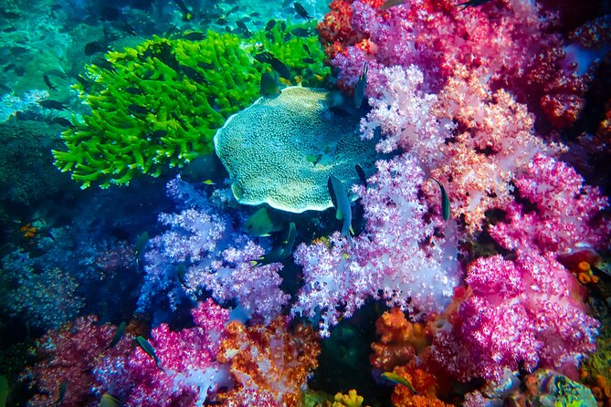 Full-Day Koh Lipe 7 Islands Snorkeling Experience With Lunch - Health Restrictions and Group Size