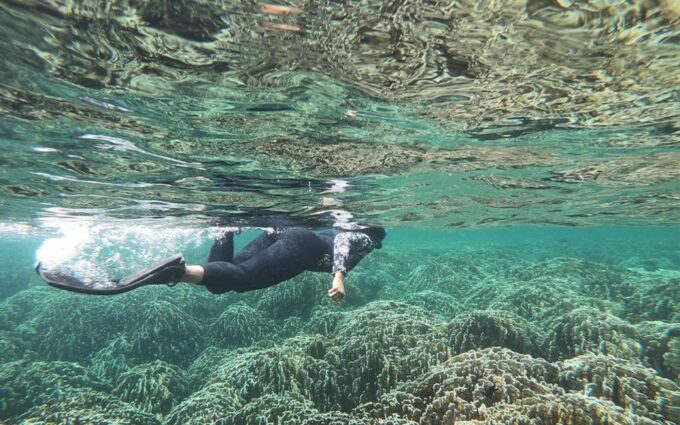 Full-Day Koh Lipe 7 Points Snorkeling Experience With Lunch - Frequently Asked Questions