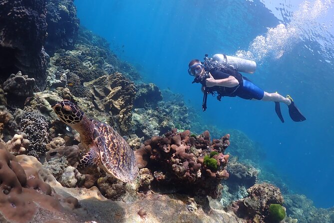 Full-Day Koh Phi Phi Scuba Diving Course From Phuket - Age and Dietary Restrictions