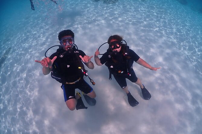 Full-Day Koh Phi Phi Scuba Diving Course From Phuket - Reviews and Feedback