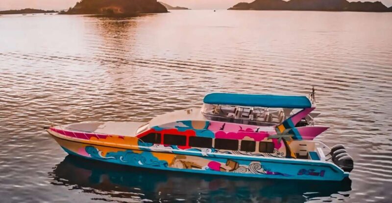 Full Day Komodo Tour 6 Spot & Snorkeling - Sharing Speedboat - Key Points