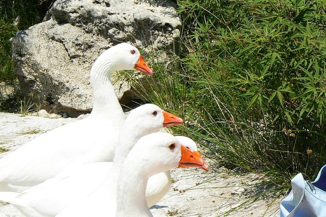 Full-Day Kourna Lake & Argyroupoli Crete Nature From Rethymno - Cancellation Policy and Support