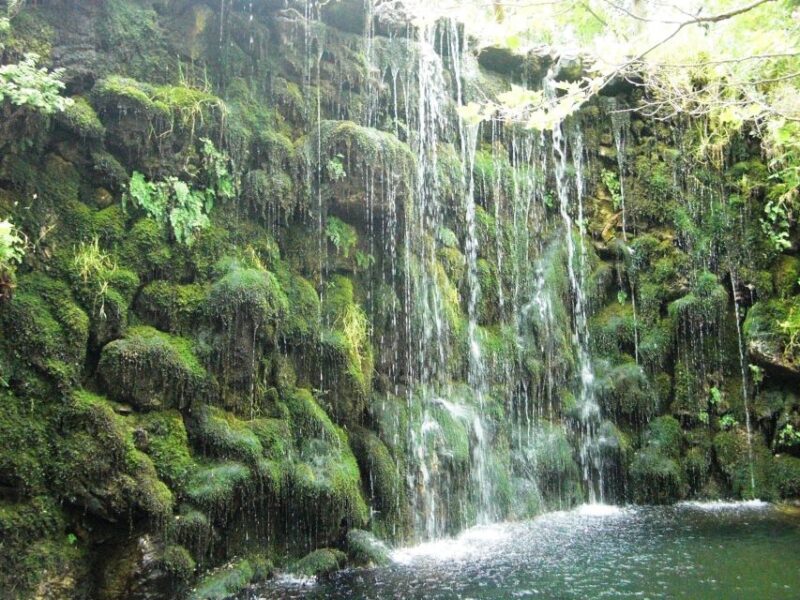 Full-Day Kournas Lake & Argyroupoli From Rethymno - Customer Reviews
