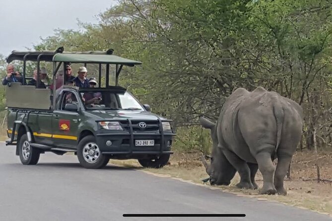 Full Day Kruger National Park Game Drive - Meeting and Pickup Information