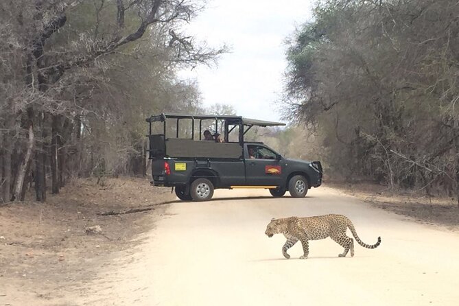 Full Day Kruger National Park Game Drive - Confirmation and Accessibility