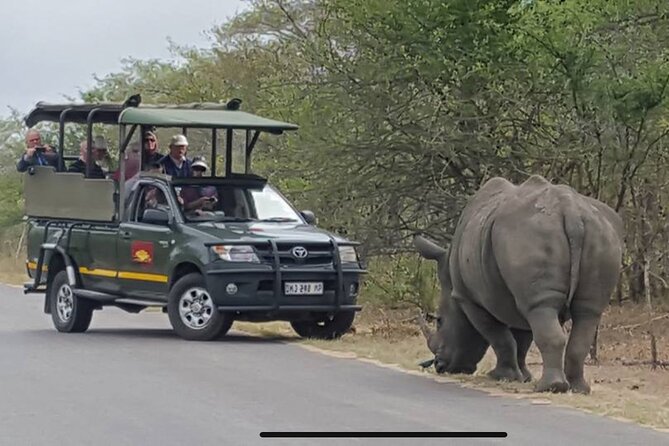 Full Day Kruger National Park Game Drive - Price and Refund Policy