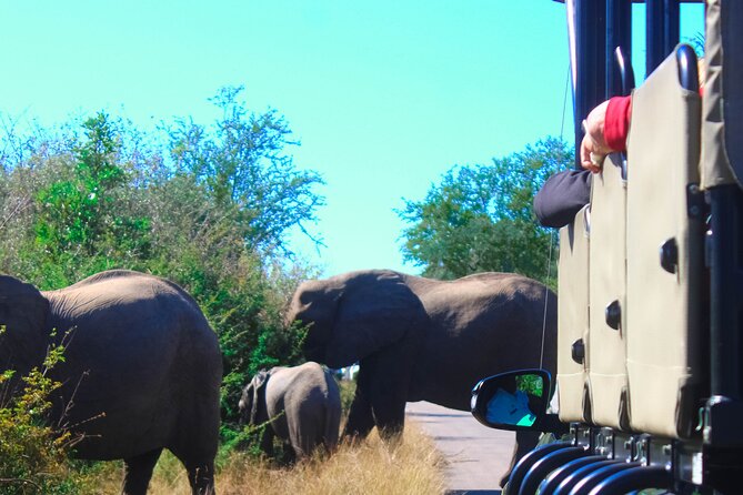 Full-Day Kruger Park Safari From Nelspruit, Whiteriver or Hazyview - Booking Confirmation