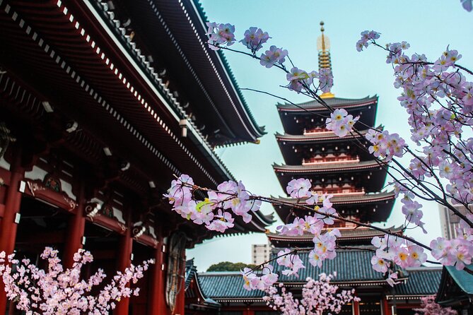 Full Day Kyoto and Nara Guided Tour - Tour Details