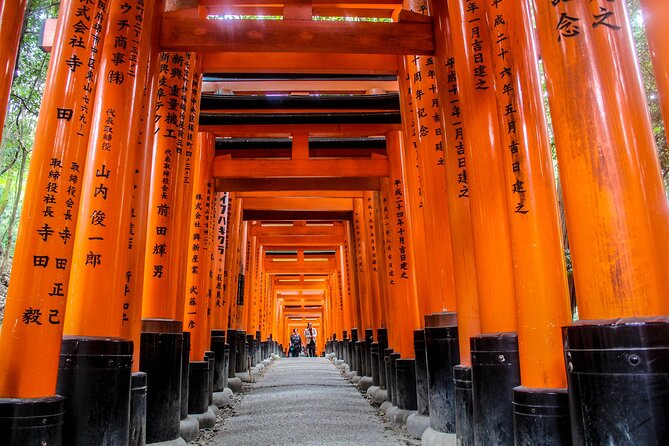 Full Day Kyoto and Nara Guided Tour - Wheelchair Accessibility