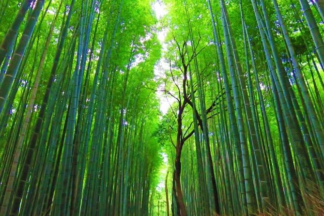 Full Day Kyoto Chartered Taxi Tour - Cancellation and Refund Policy
