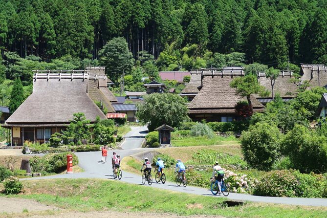 Full Day Kyoto Suburb Tour From Osaka - Vehicle and Group Size
