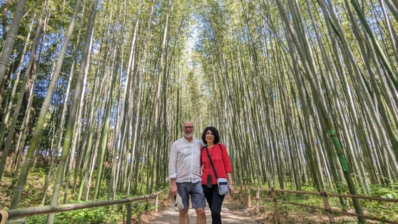 Full-Day Kyoto Walking Tour: Most Iconic Landmarks & Monkeys - Fushimi Inari Taisha