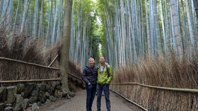 Full-Day Kyoto Walking Tour: Most Iconic Landmarks & Monkeys - Iwatayama Monkey Park