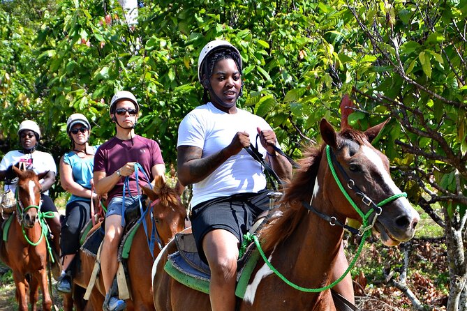 Full-Day La Hacienda Dune Buggy With Zipline & Horseback Activity - Activity Breakdown