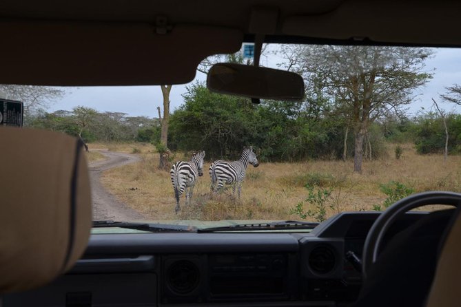 Full-Day Lake Mburo National Park Safari With Boat Trip (2 Day Option Available) - Pickup and Meeting Details
