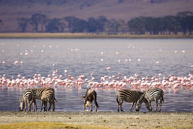 Full-Day Lake Nakuru National Park From Nairobi - Exploring Lake Nakuru National Park