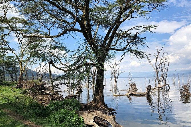 Full-Day Lake Nakuru National Park From Nairobi - Birdwatching Opportunities at the Park