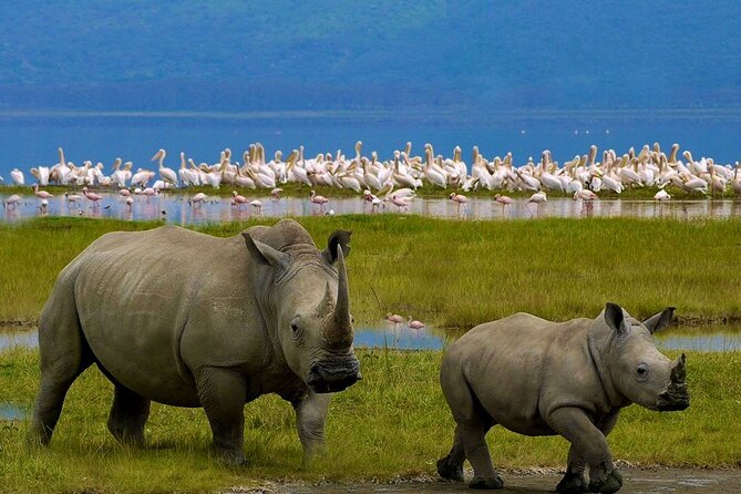 Full-Day Lake Nakuru National Park Private Tour From Nairobi - Pickup Information