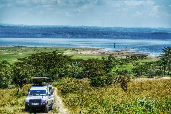 Full Day Lake Nakuru Park and Optional Boat Ride on Lake Naivasha - Included in the Tour