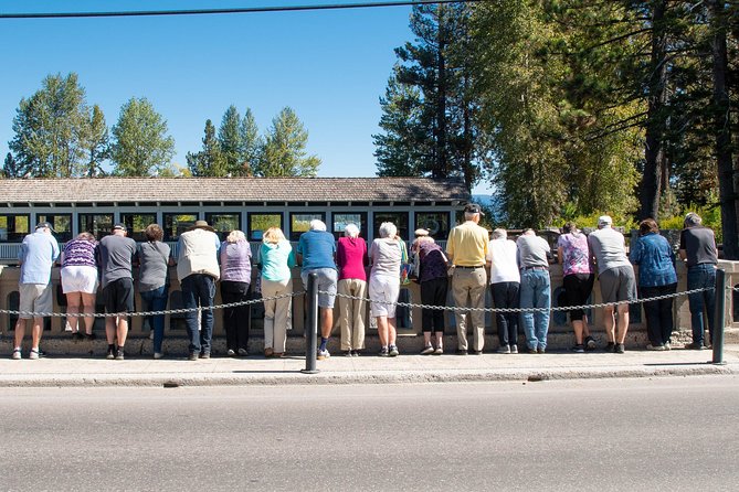 Full-Day Lake Tahoe Circle Tour Including Squaw Valley - Explore Squaw Valley