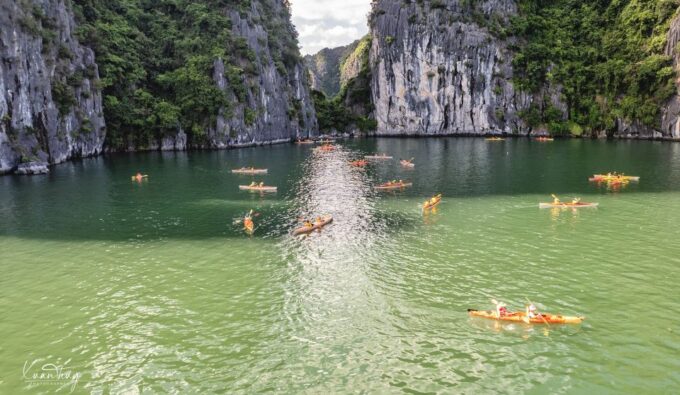 Full Day: Lan Ha Bay , Kayaking, Swimming, and Monkey Island - Important Information and Ratings