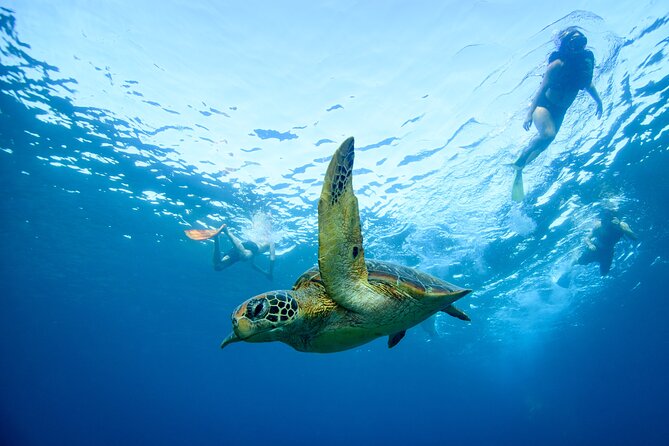 Full Day Land and Sea Tour to Nusa Penida With 4 Snorkeling Spots - Return to Sanur