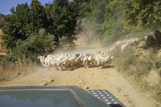 Full-Day Land Rover Safari From Heraklion With Lunch - Mythological Birthplace of Zeus