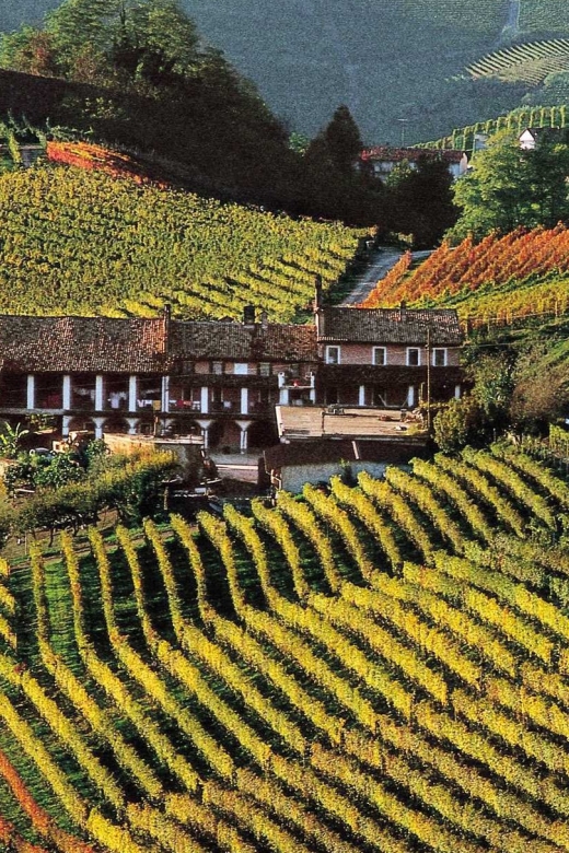 Full-Day Langhe Region Tour With Wine Tasting Experience - Key Points