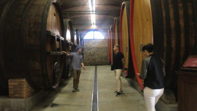 Full-Day Langhe Region Tour With Wine Tasting Experience - Feedback and Ratings