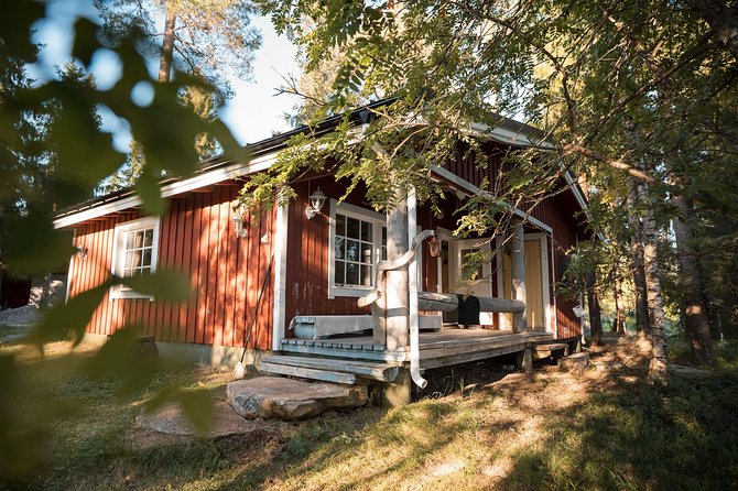 Full Day Lapland Tour, Including Lunch and Dinner - Itinerary Highlights