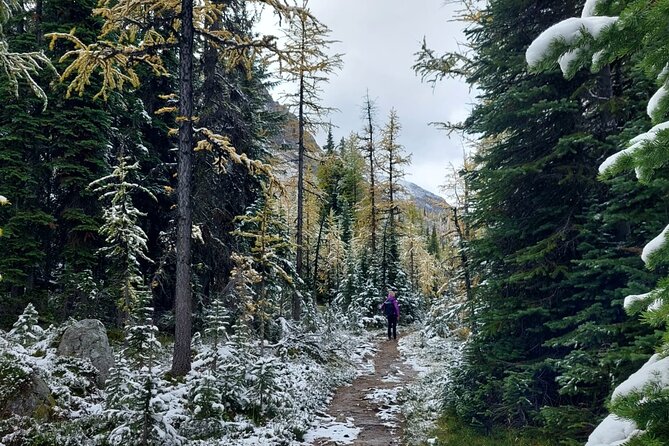 Full-Day Larch Hike, Departure From Banff - Additional Information