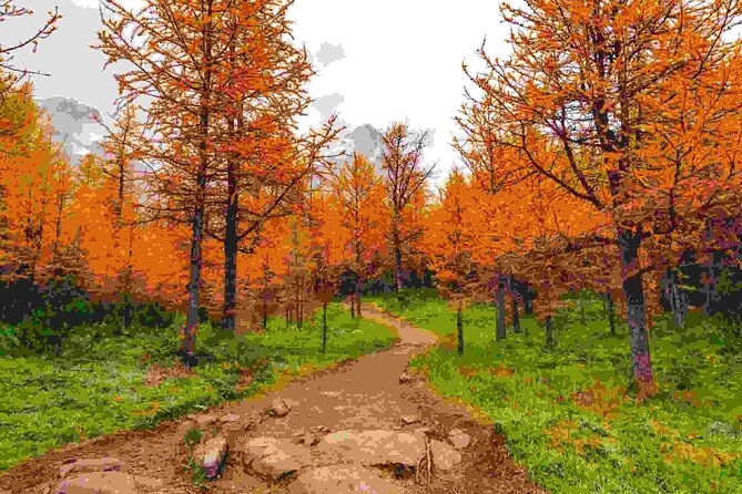 Full Day Larch Hike, Departure From Lake Louise - Pickup Details