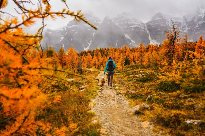 Full Day Larch Hike, Departure From Lake Louise - Group Size