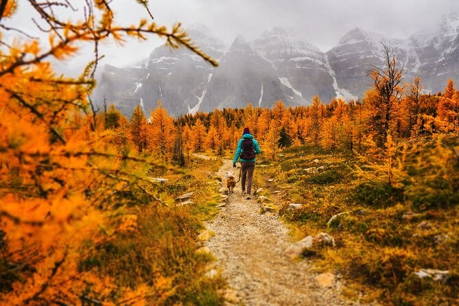 Full Day Larch Hike, Departure From Lake Louise - Physical Fitness