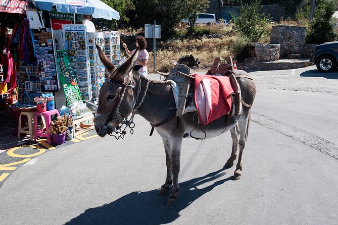 Full-Day Lasithi Plateau From Heraklion , Malia & Hersonissos - Explore the Lasithi Plateau